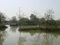 DSC06983