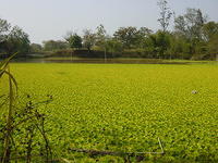 DSC06986