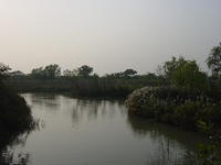 DSC07007
