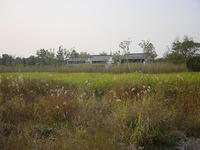 DSC07010
