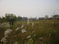 DSC07011
