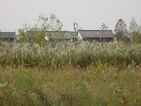 DSC07013