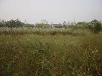 DSC07014