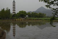 DSC1615
