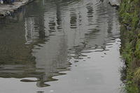 DSC1636