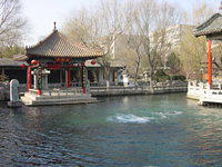 DSC05161