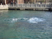 DSC05164