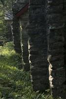 DSC 0026