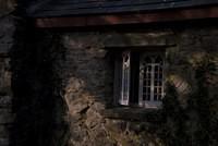 DSC 0060