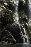 DSC 0099