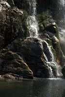 DSC 0100