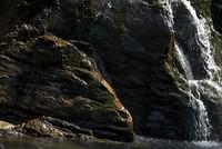 DSC 0101