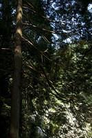 DSC 0141