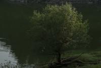 DSC 0147