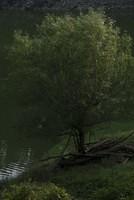 DSC 0148