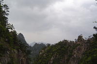 DSC00495