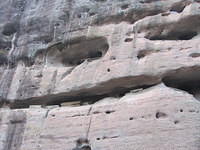 IMG 0475