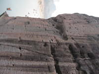IMG 0478
