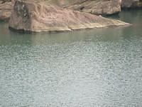 IMG 0489