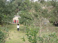 IMG 0528