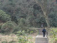 IMG 0531