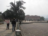 IMG 0538