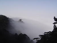 DSC01546