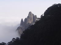 DSC01551