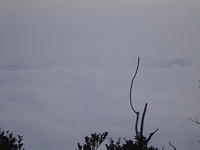 DSC01577