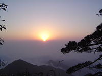 DSC01584