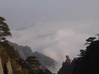 DSC01591