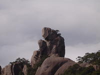 DSC01605