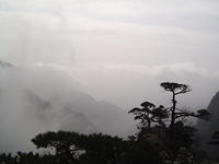 DSC01610