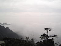 DSC01612