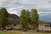 DSC 0007