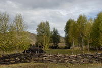 DSC 0008