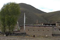 DSC 0013