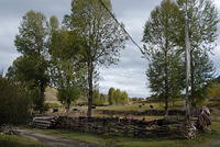 DSC 0014