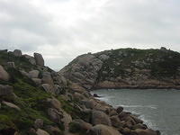 DSC06609