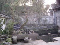 DSC01451