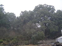DSC01472