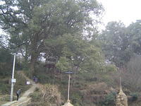 DSC01474