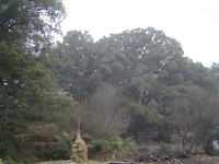 DSC01475