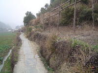 DSC01478