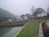 DSC01479