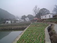 DSC01480