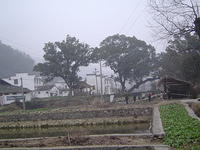 DSC01482