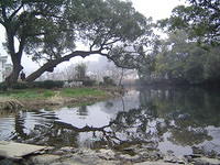 DSC01484