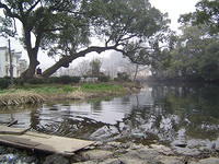 DSC01485