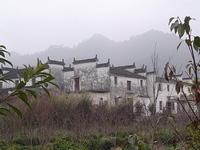DSC01504
